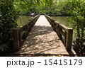 井ノ頭公園 15415179
