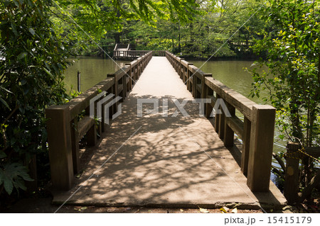 井ノ頭公園 15415179