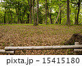 井ノ頭公園 15415180