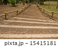 井ノ頭公園 15415181