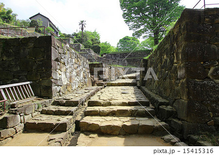 金山城跡 15415316