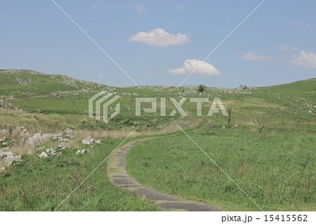 秋吉台カルスト地形 15415562