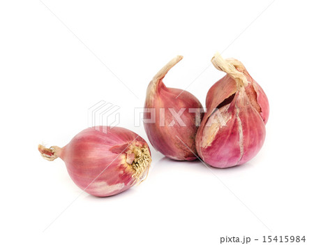 Shallot onions 15415984