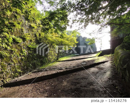 豊後竹田の町並み　その3　岡城址（大手門跡） 15416276