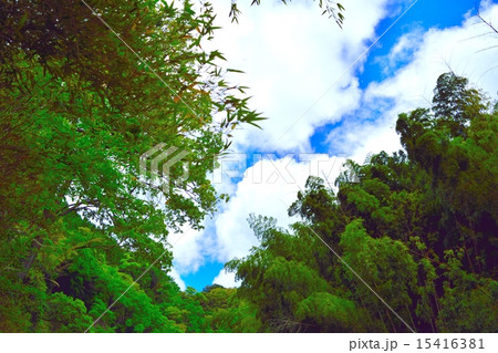 自然の風景 15416381