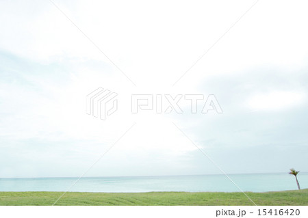 海と芝生と空 15416420