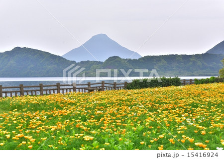 池田湖と開門岳 池田湖と開門岳 15416924