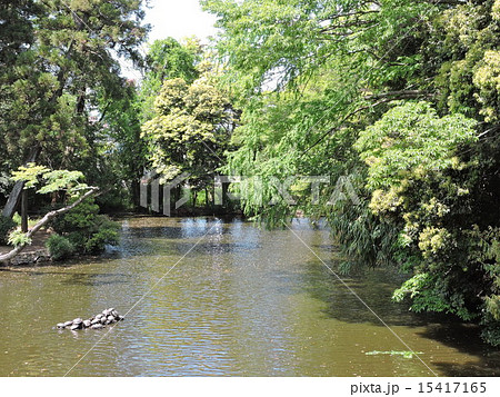 大宮氷川神社 15417165