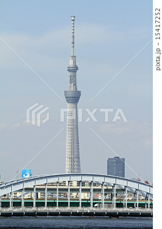 中央大橋から見た東京スカイツリー 中央大橋から見た東京スカイツリー 15417252