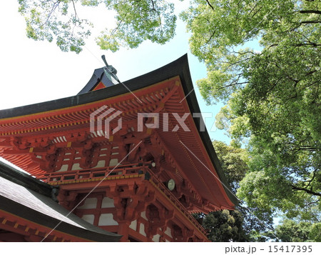 大宮氷川神社 15417395