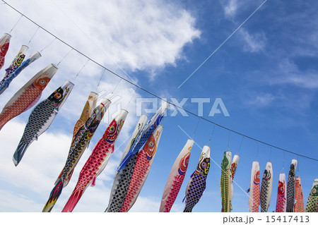 鯉のぼり 鯉のぼり 15417413