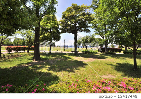 豊洲公園 豊洲公園 15417449