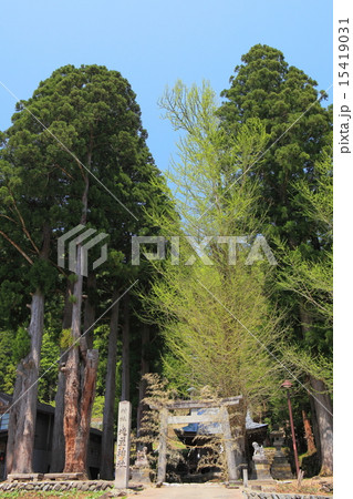 五箇山相倉地主神社 15419031