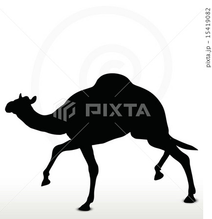 camel in Trotting pose 15419082