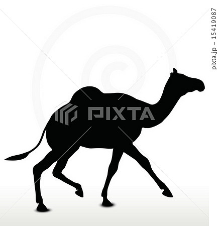 camel in Trotting pose 15419087