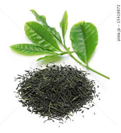 玉露と茶葉 玉露と茶葉 15419972