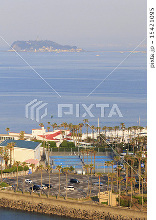 逗子マリーナの朝 15421095