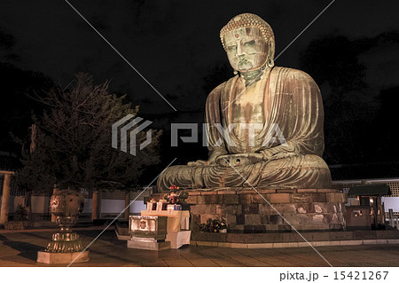 鎌倉大仏の元旦 15421267