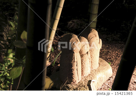 長谷寺の元旦（大晦日） 15421365