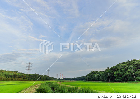 佐倉市の田園風景 15421712