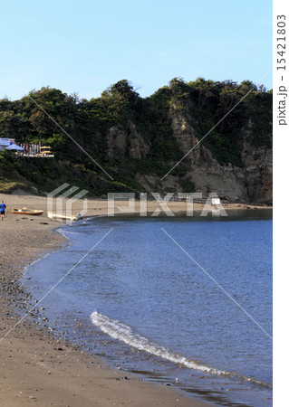 長者ヶ崎の初夏 長者ヶ崎の初夏 15421803