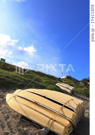長者ヶ崎の初夏 15421809