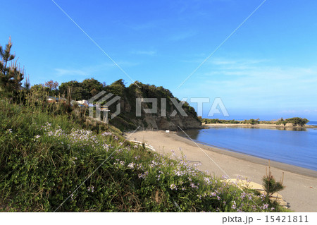 長者ヶ崎の初夏 長者ヶ崎の初夏 15421811