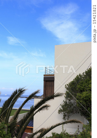 長者ヶ崎の初夏 15421821