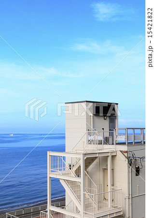 長者ヶ崎の初夏 15421822