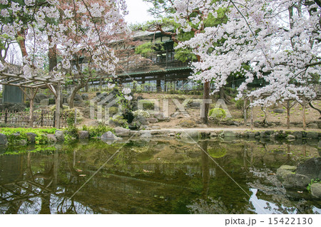 桜咲く臨江閣別館 15422130