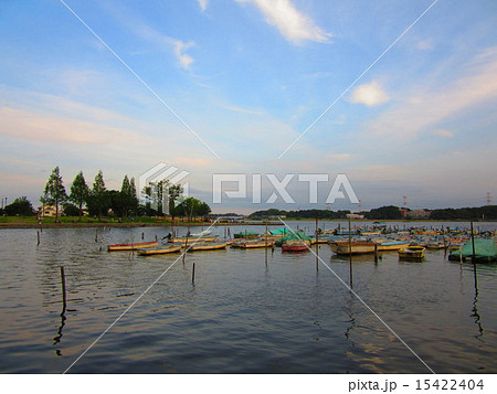 手賀沼公園 15422404