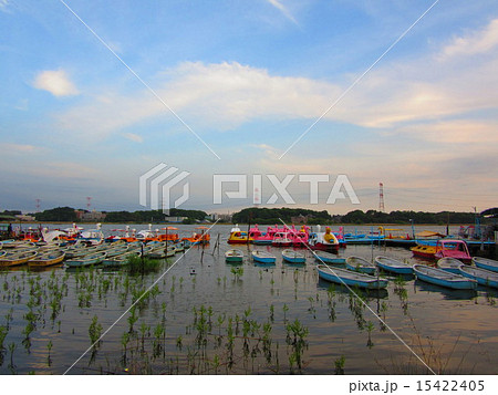 手賀沼公園 15422405