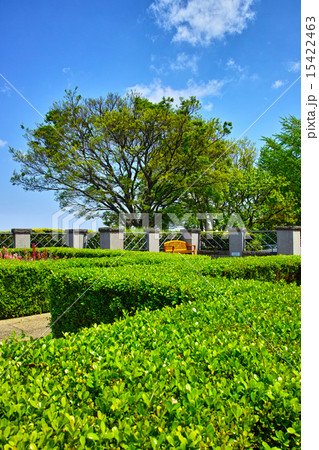 新緑の庭園 新緑の庭園 15422463