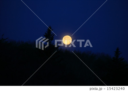 沈む月 15423240