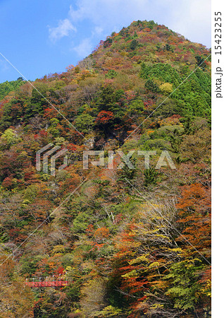 べふ峡の紅葉 べふ峡の紅葉 15423255