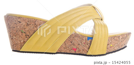 shoes, ladies shoes on background. shoes, ladies shoes on background. 15424055
