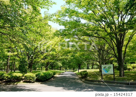 東京都　江東区　亀戸中央公園　B地区入口 15424317