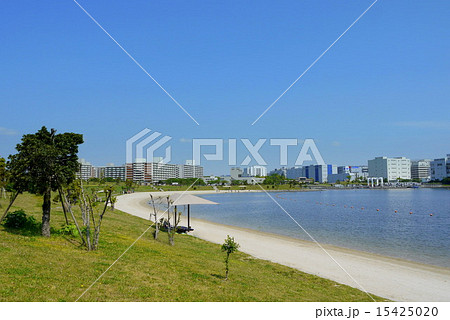 東京都 大田区立 大森ふるさとの浜辺公園 東京都 大田区立 大森ふるさとの浜辺公園 15425020