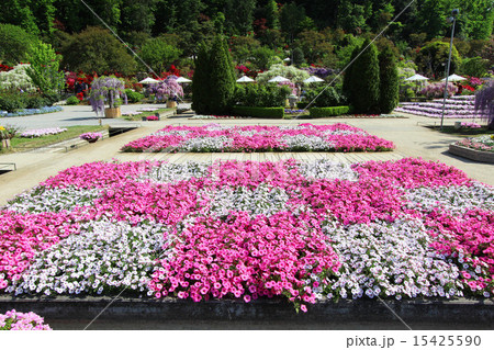 足利フラワーパーク　フラワーステージ 15425590