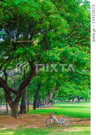 White bicycle in the park 15425673
