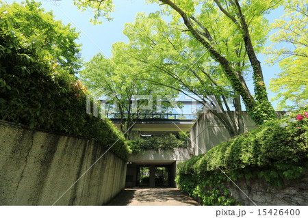 緑化センター本館 15426400