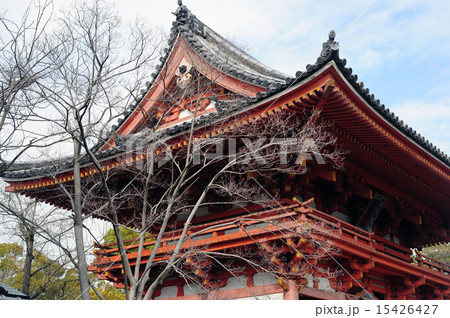 昆陽寺の山門-5 15426427