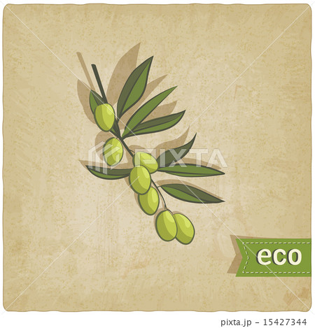 olive eco background 15427344