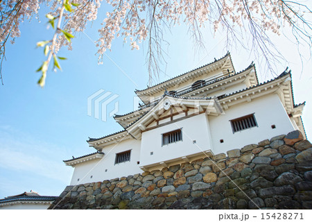 白石城春景色 白石城春景色 15428271