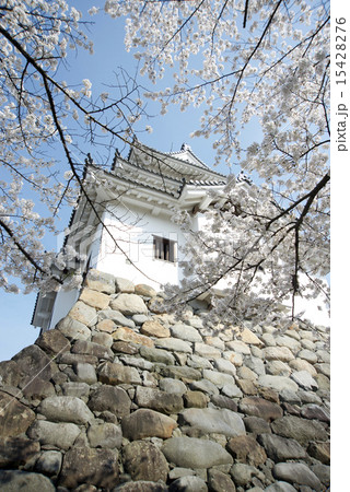 白石城春景色 15428276