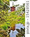 浅草寺・伝法院庭園よりの五重塔 15428561