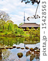 浅草寺；浄土庭園よりのスカイツリー 15428563