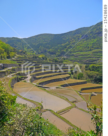 長崎の世界遺産(候補) 春日の棚田 長崎の世界遺産(候補) 春日の棚田 15428689