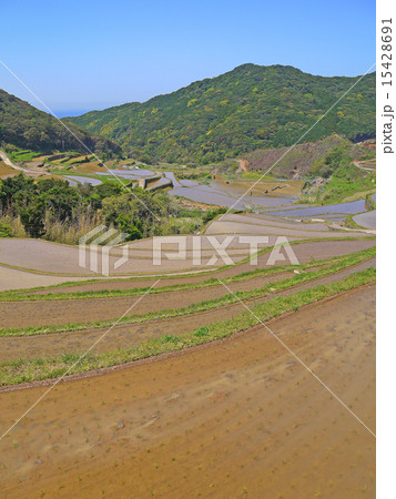 長崎の世界遺産（候補）　春日の棚田 15428691