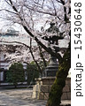 桜と灯篭 15430648